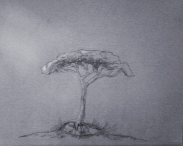 Pencil sketch of a masasa tree with a grey blue background